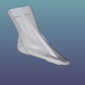 Biomechanical Ankle Brace