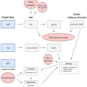 EEG Patient Network